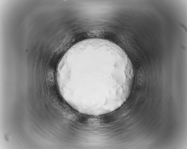 X0000101680699200807311519