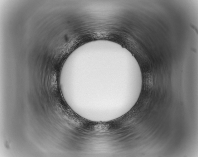 X0000101680700200807311519