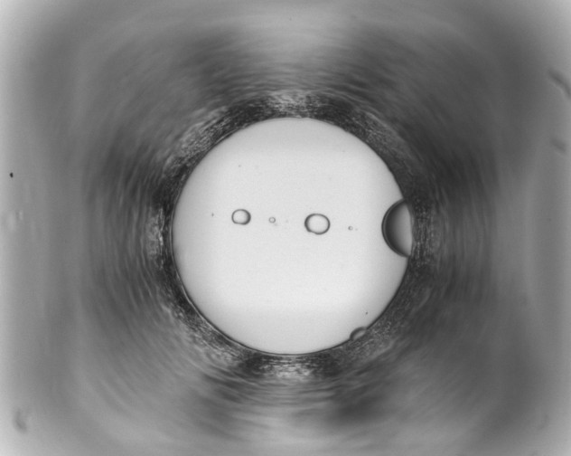 X0000101680702200807311519