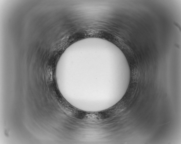 X0000101680703200807311519