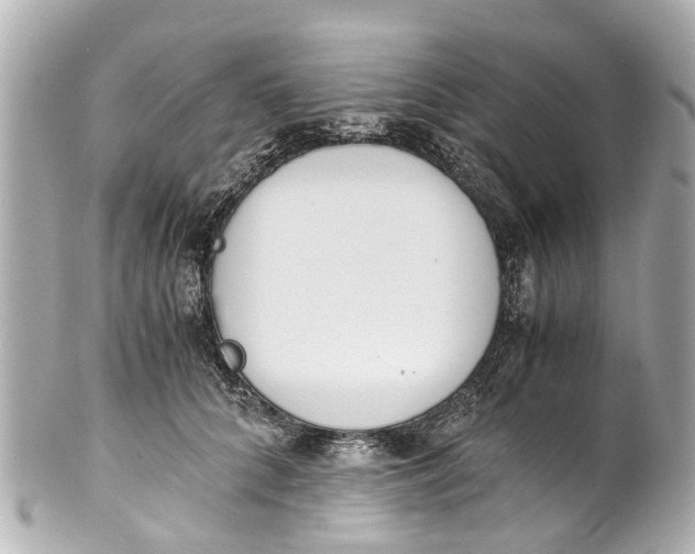 X0000101680704200807311519