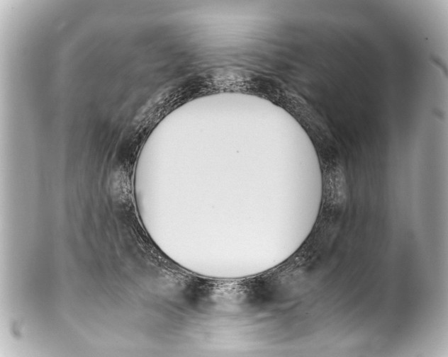 X0000101680705200807311519