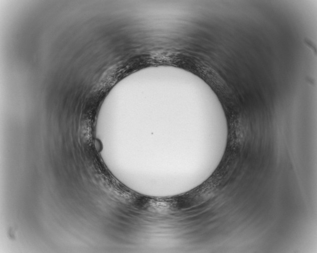 X0000101680706200807311519