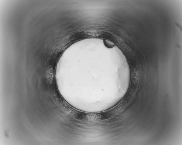 X0000101680707200807311519