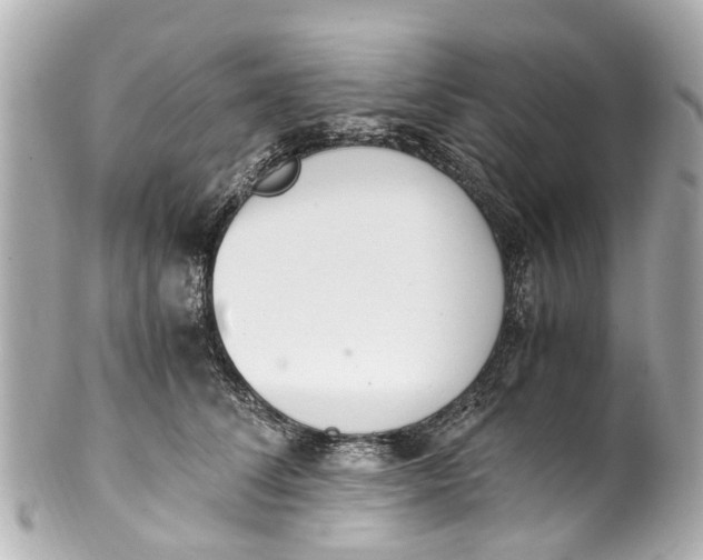 X0000101680708200807311519