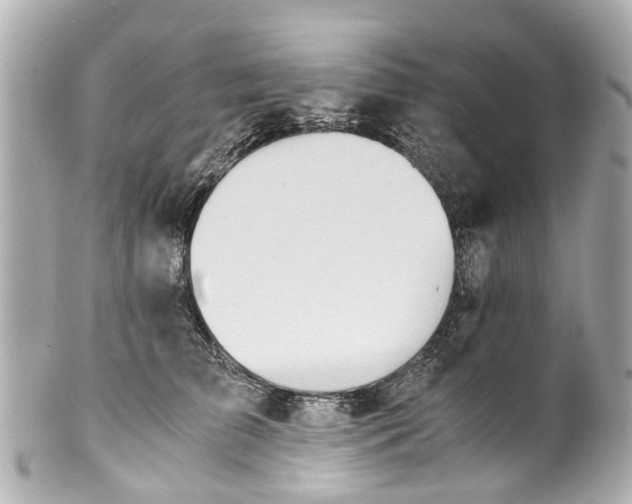 X0000101680709200807311519