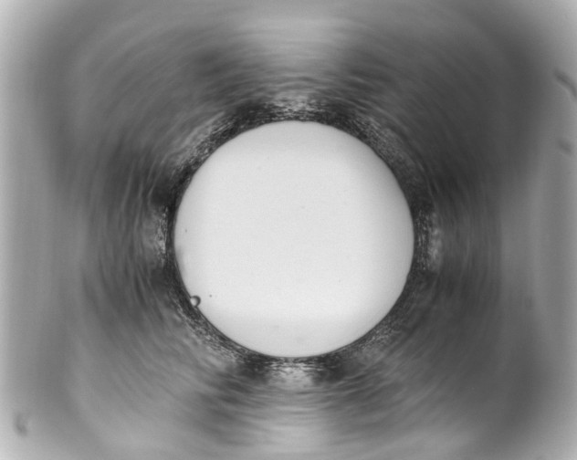 X0000101680710200807311519