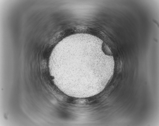 X0000101680711200807311519