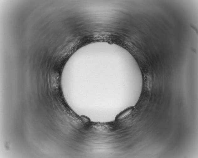 X0000101680712200807311519