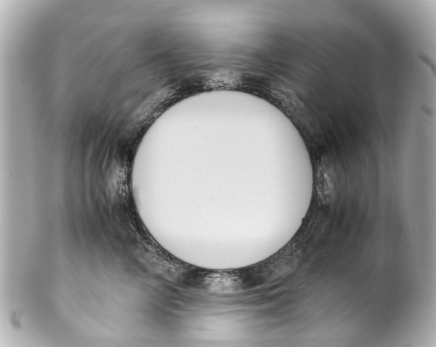 X0000101680714200807311519