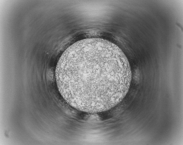 X0000101680715200807311519