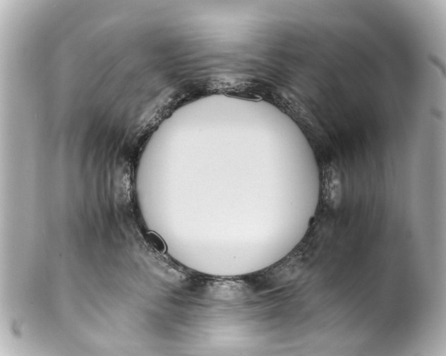 X0000101680716200807311519