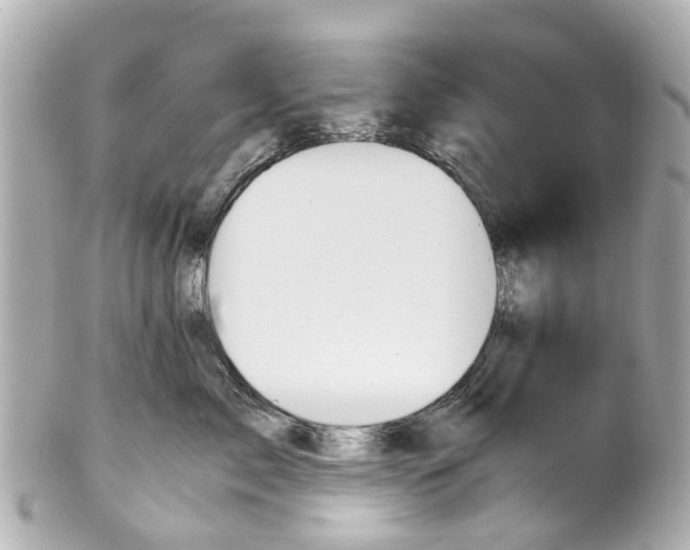 X0000101680717200807311519