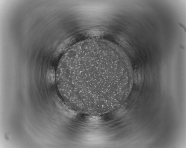 X0000101680718200807311519