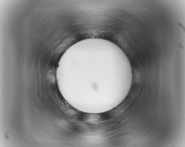 X0000101680719200807311519