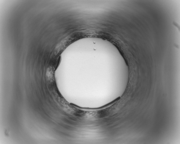 X0000101680720200807311519