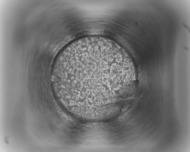 X0000101680721200807311518