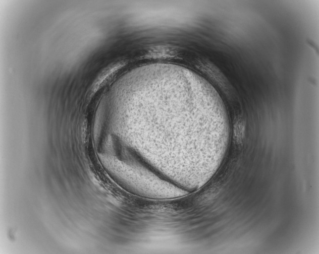 X0000101680724200807311518