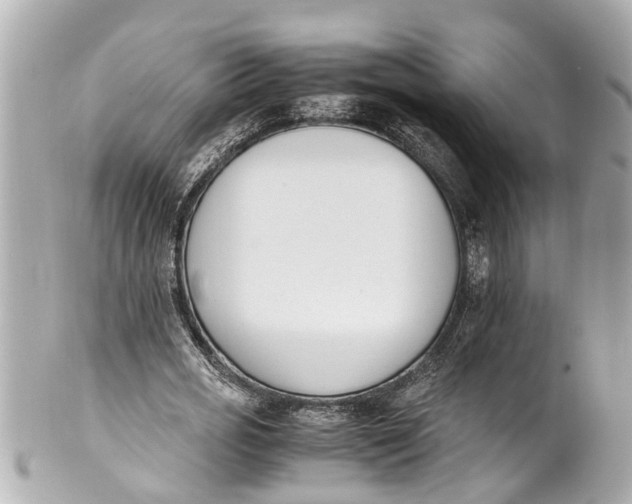 X0000101680725200807311518