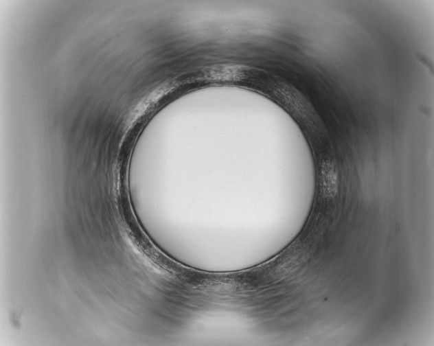 X0000101680726200807311518