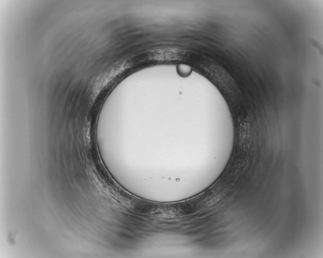 X0000101680727200807311518