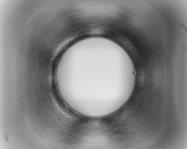 X0000101680728200807311518