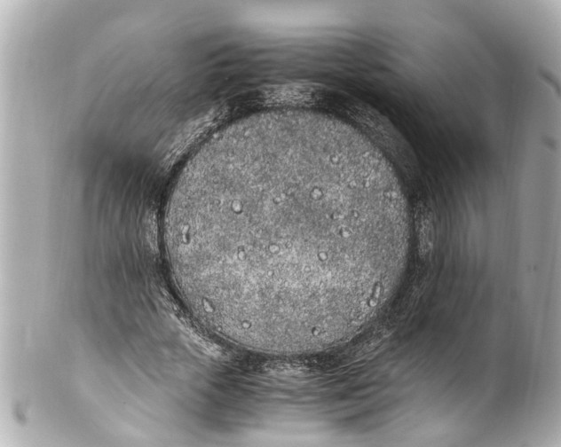 X0000101680729200807311518