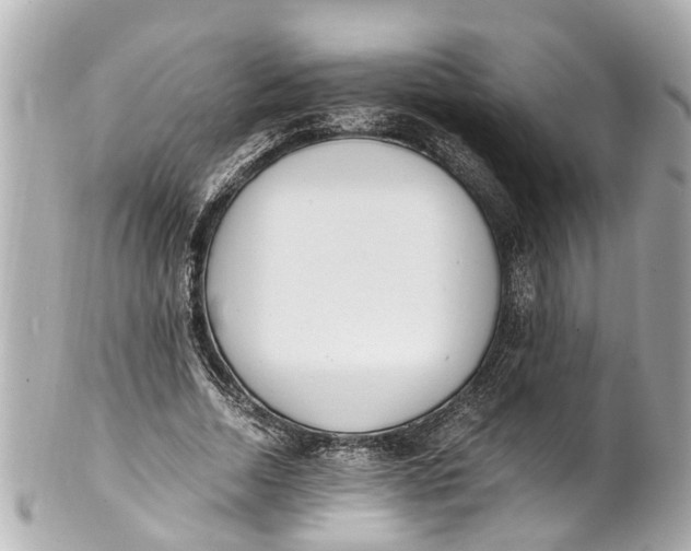 X0000101680730200807311518