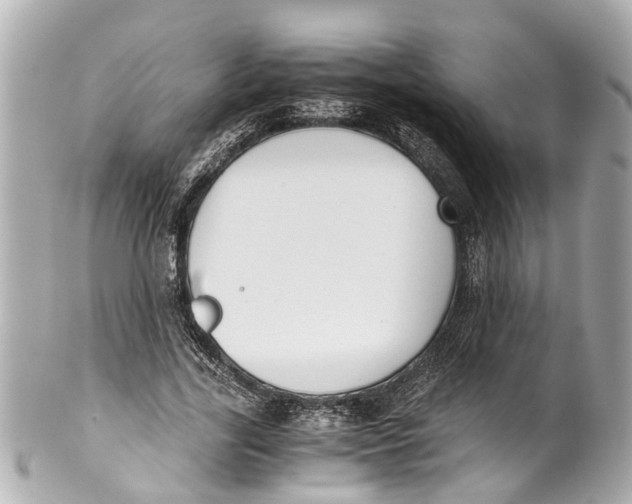 X0000101680731200807311518