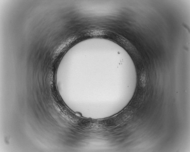 X0000101680732200807311518