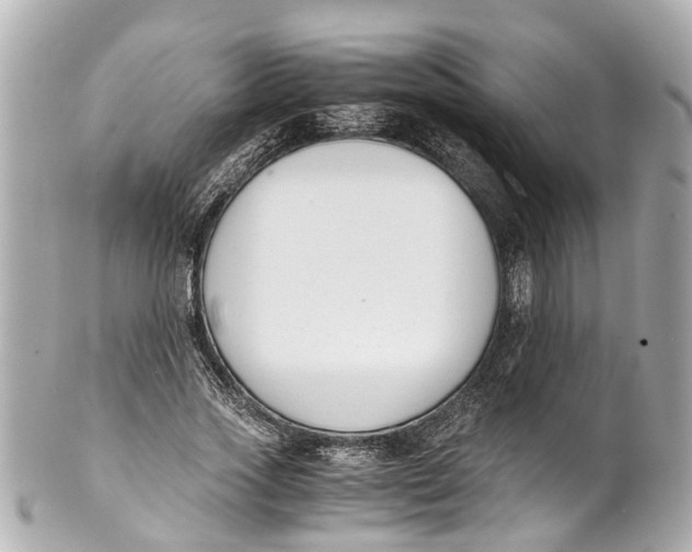 X0000101680733200807311518