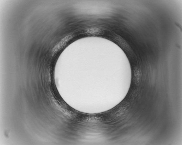 X0000101680734200807311518