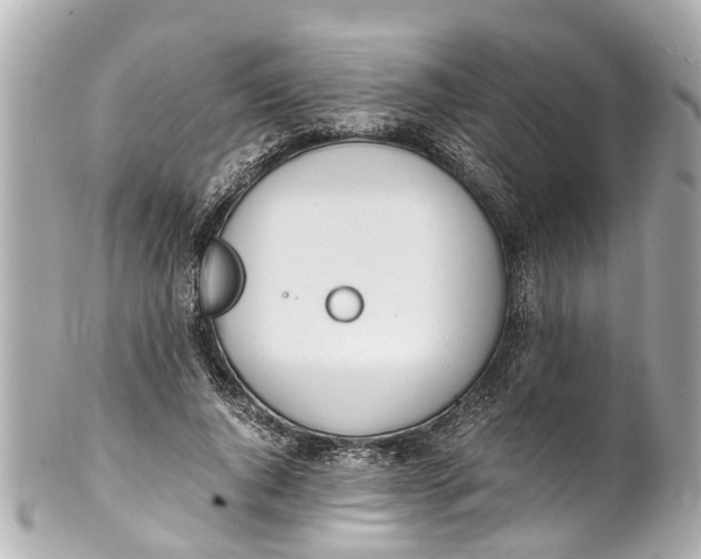 X0000101680736200807311518