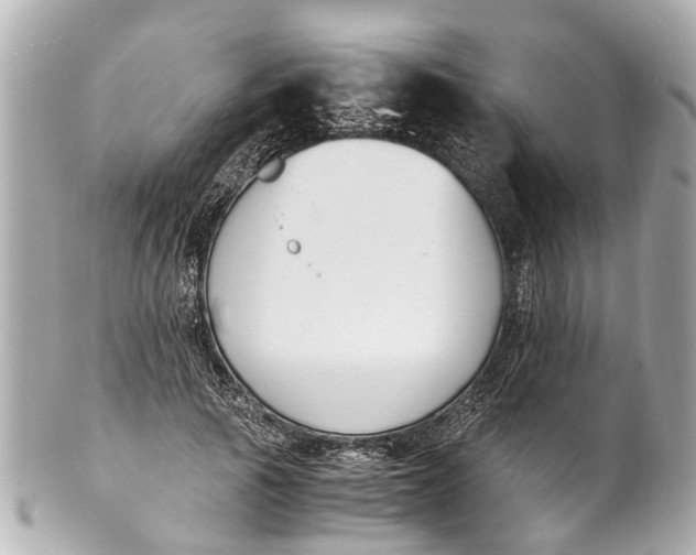 X0000101680737200807311518