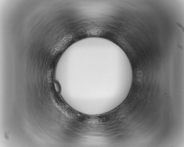 X0000101680738200807311518