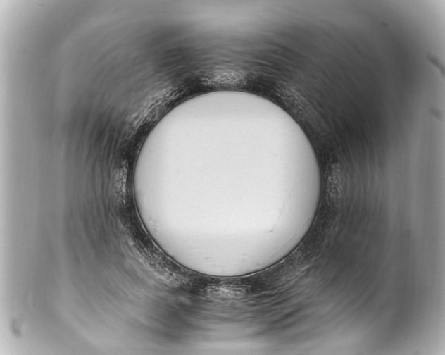 X0000101680739200807311518