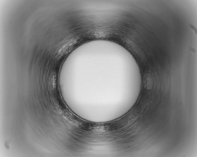 X0000101680740200807311518