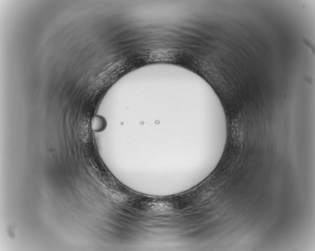 X0000101680741200807311518