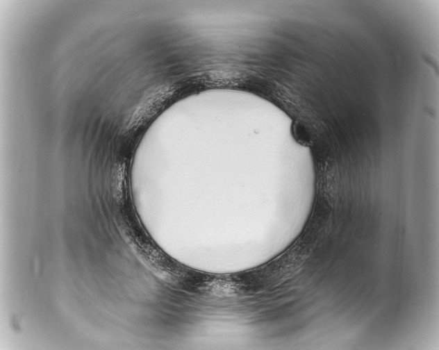 X0000101680742200807311518