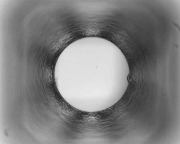 X0000101680743200807311519