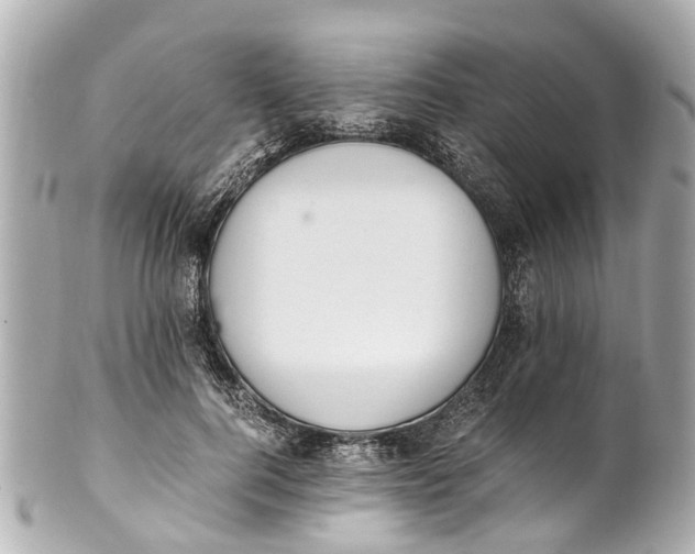 X0000101680744200807311519