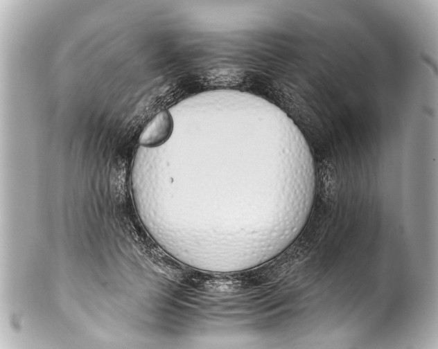 X0000101680745200807311519