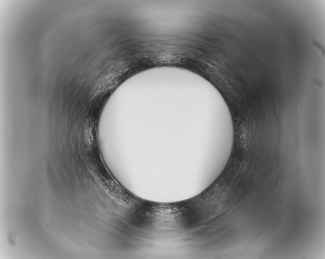 X0000101680746200807311519