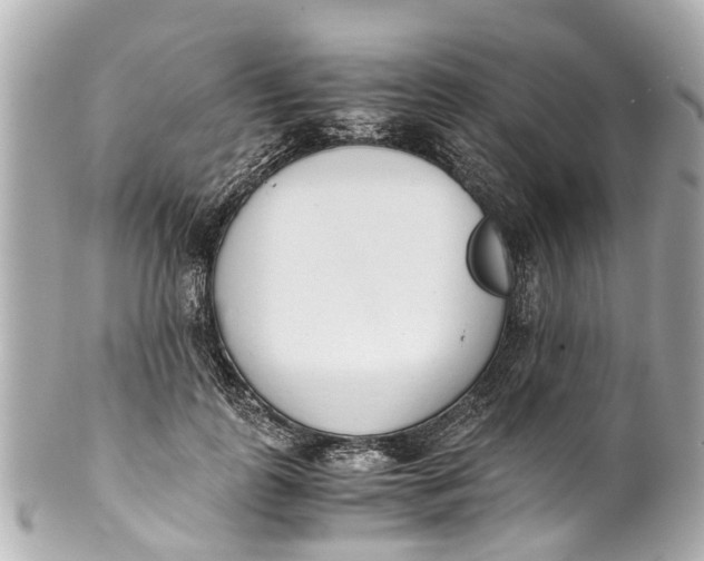 X0000101680747200807311519