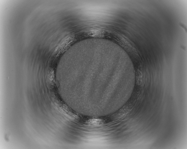 X0000101680748200807311519