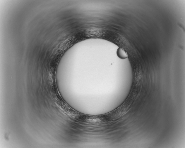 X0000101680749200807311519