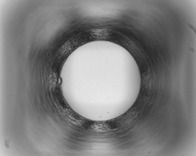 X0000101680752200807311519