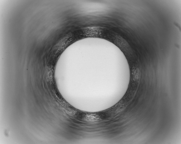 X0000101680753200807311519