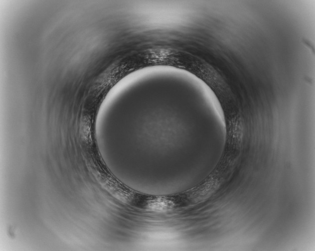 X0000101680754200807311519