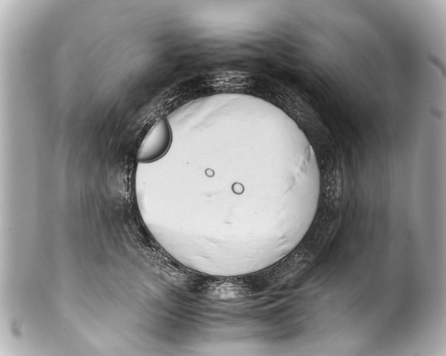 X0000101680755200807311519